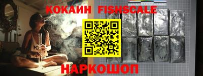 бошки Кингисепп