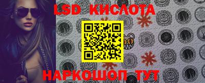 бошки Кингисепп