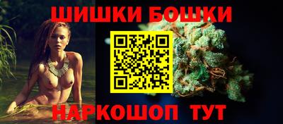 бошки Кингисепп