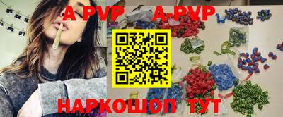 бошки Кингисепп
