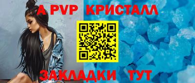 бошки Кингисепп