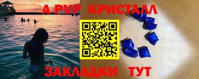 бошки Кингисепп