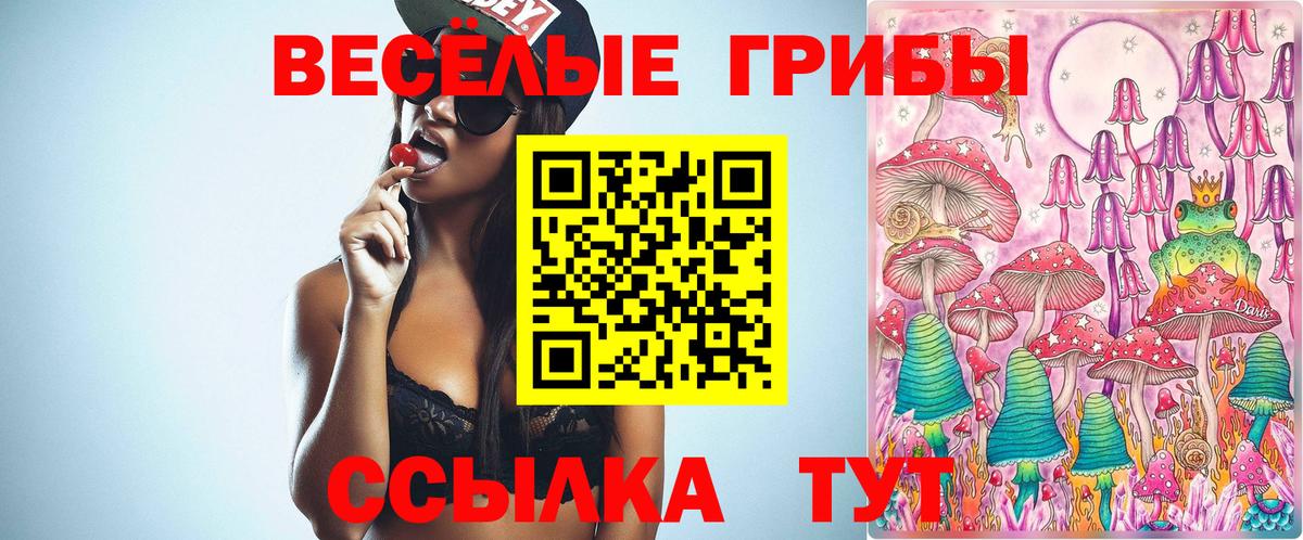 Псилоцибиновые грибы Psilocybine cubensis  Вход с VPN  Егорьевск  Галлюциногенные грибы Psilocybine cubensis 